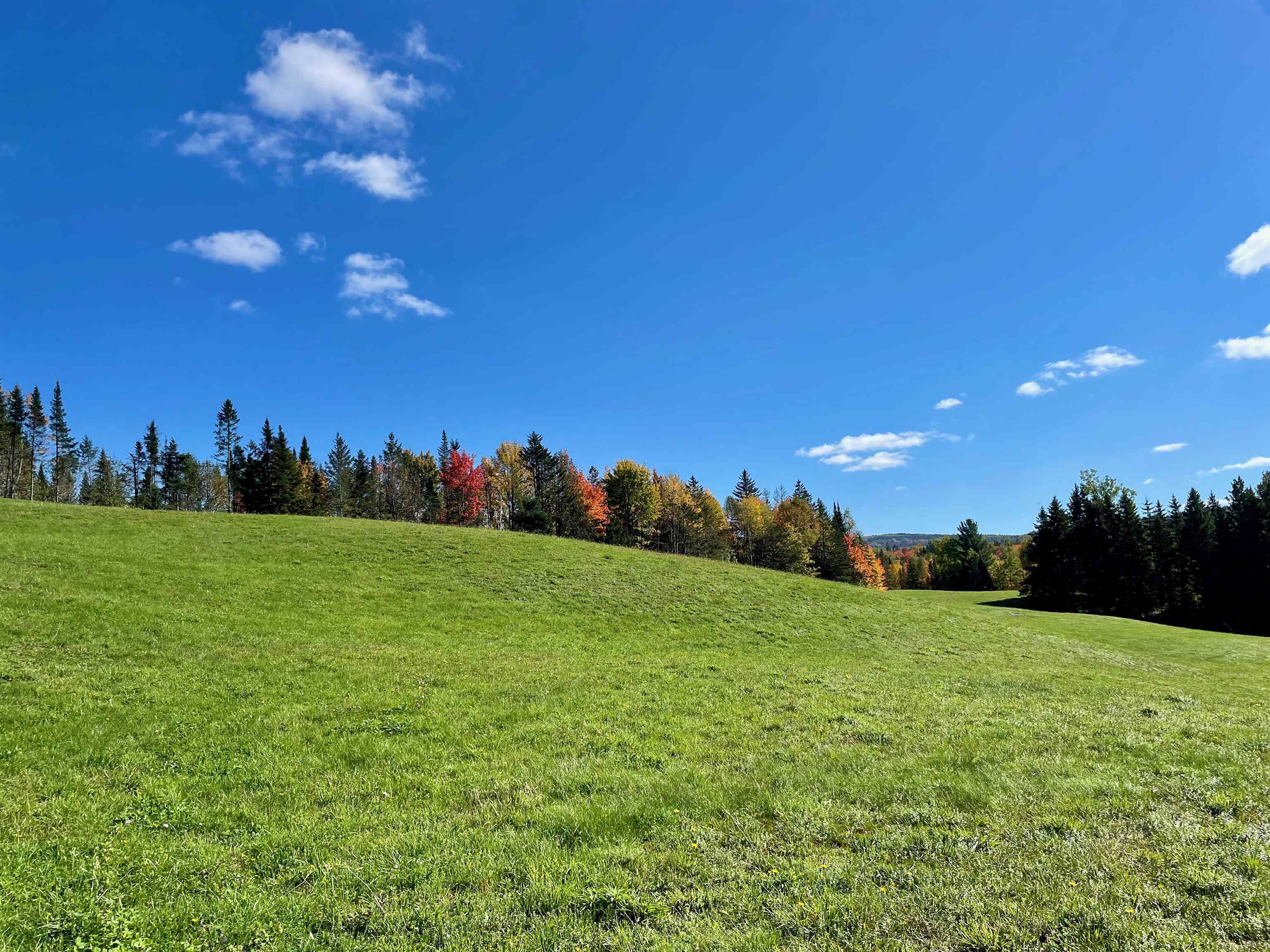 Lot 1 Hollow Road Stewartstown, NH 03576 - Photo 5 of 18 Gallery Image 5