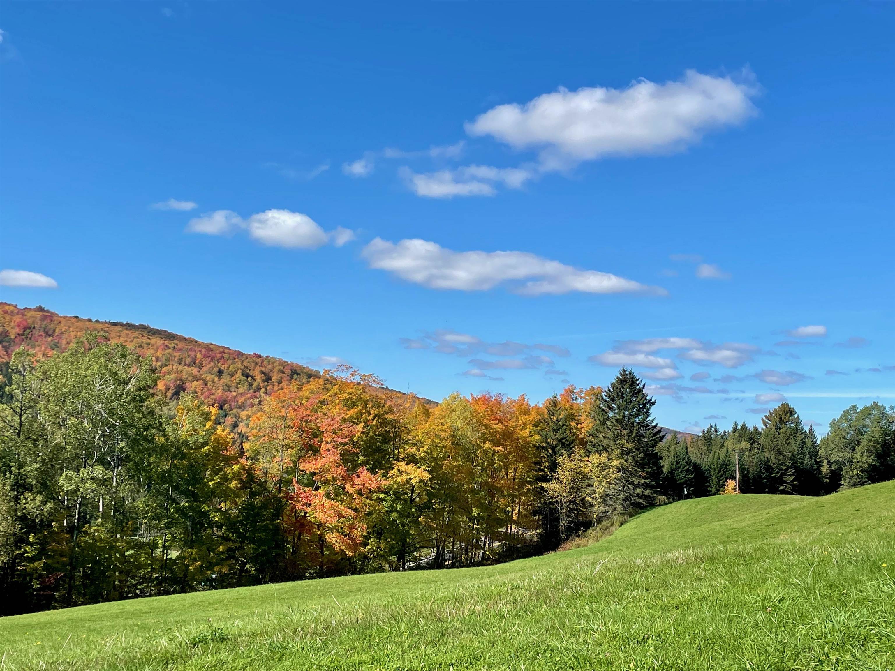 Lot 1 Hollow Road Stewartstown, NH 03576 - Photo 8 of 18 Gallery Image 8
