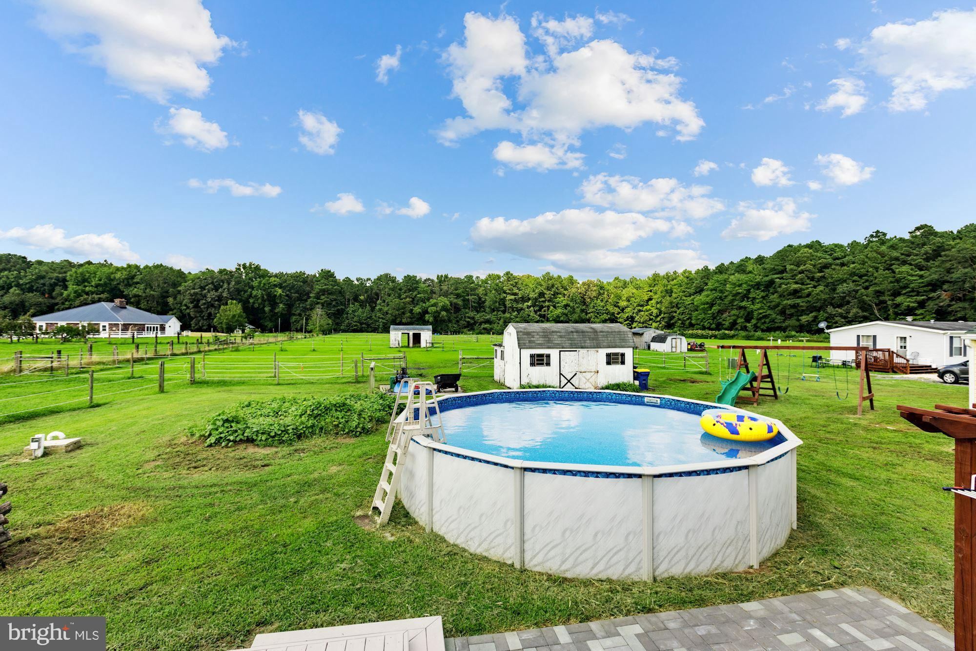18171 Deer Forest Road Georgetown, DE 19947 - Photo 7 of 21 21 ft. Personal Pool