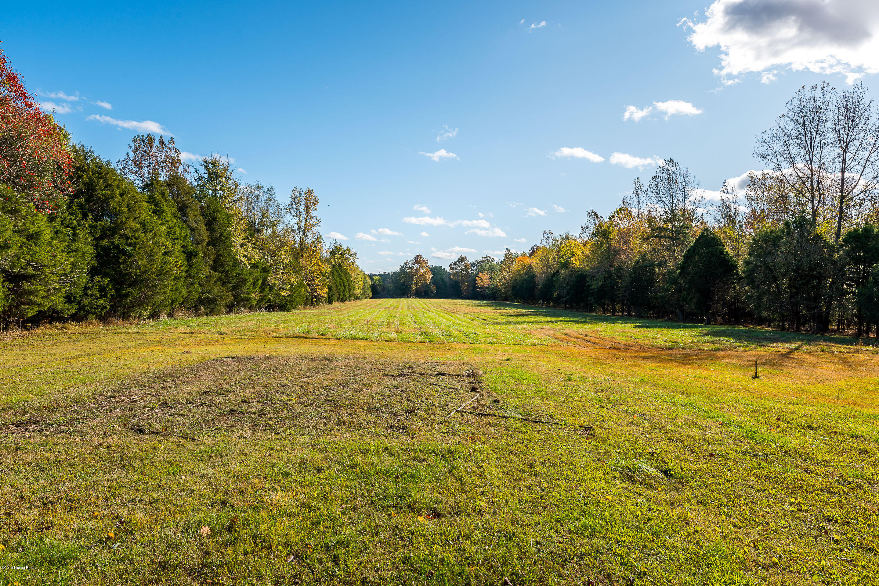 516 Castleman Branch Road Shepherdsville, KY 40165 - Photo 26 of 26 DHI-26