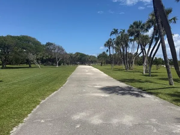 a view of a park with tree s