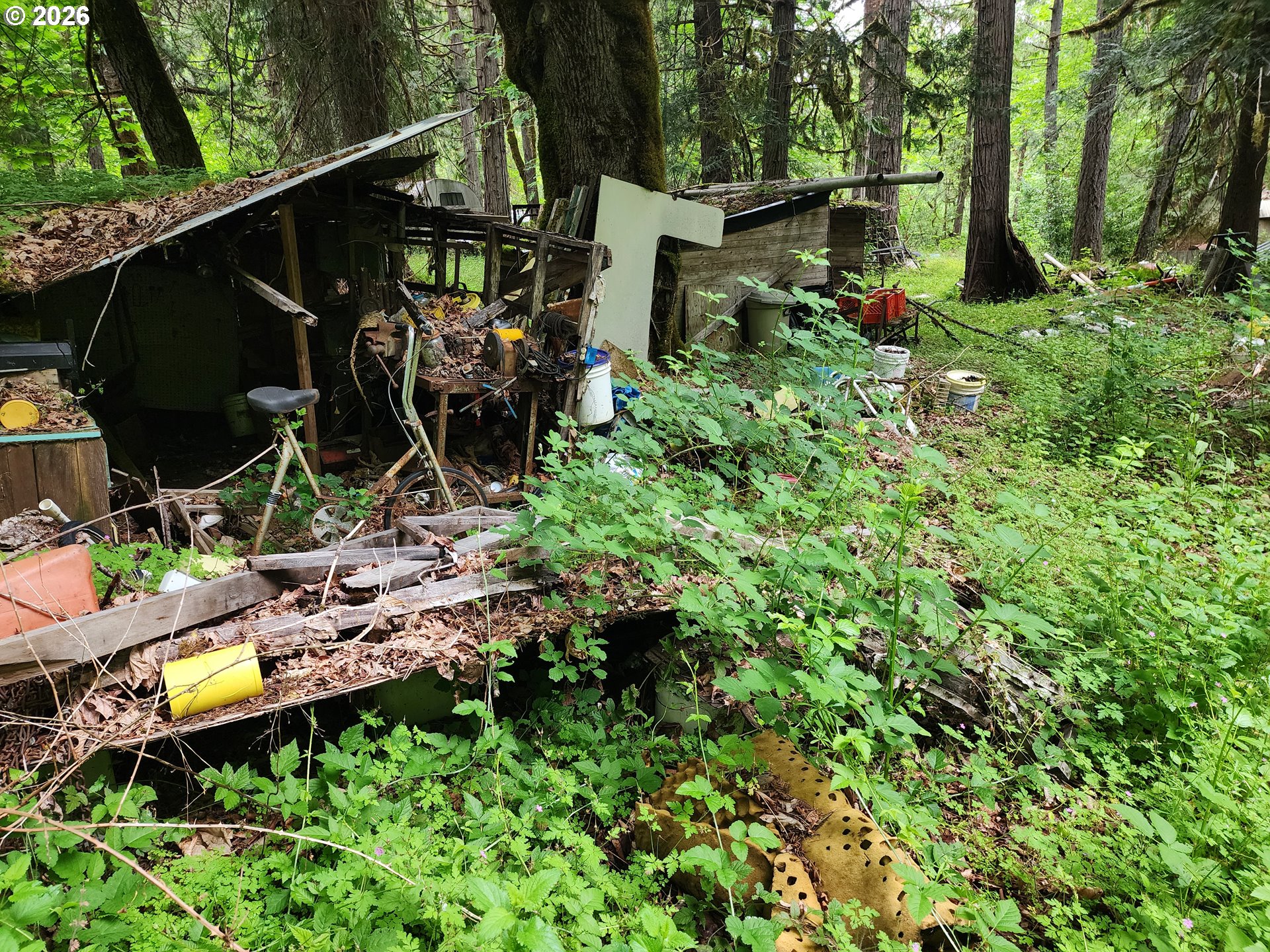 0 Louis Creek Road Myrtle Creek, OR 97457 - Photo 19 of 20