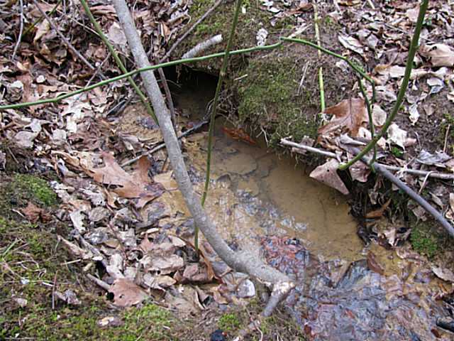 0 McCullough Road Morris Chapel, TN 38361 - Photo 2 of 6