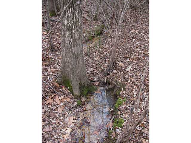 0 McCullough Road Morris Chapel, TN 38361 - Photo 3 of 6