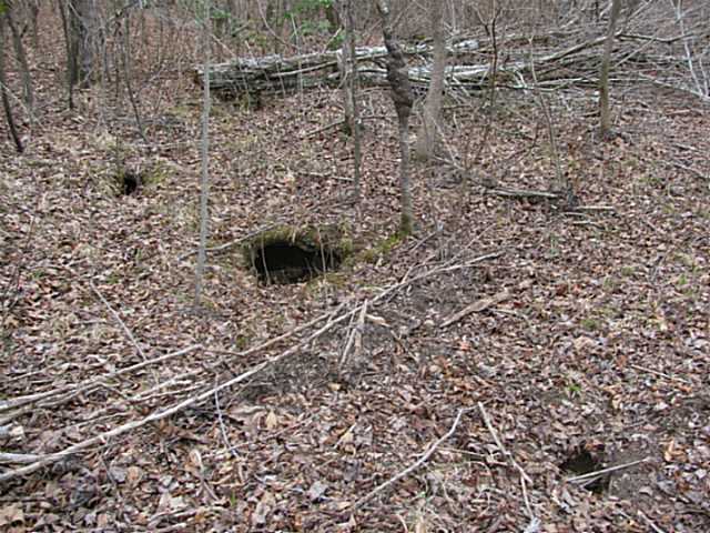 0 McCullough Road Morris Chapel, TN 38361 - Photo 5 of 6