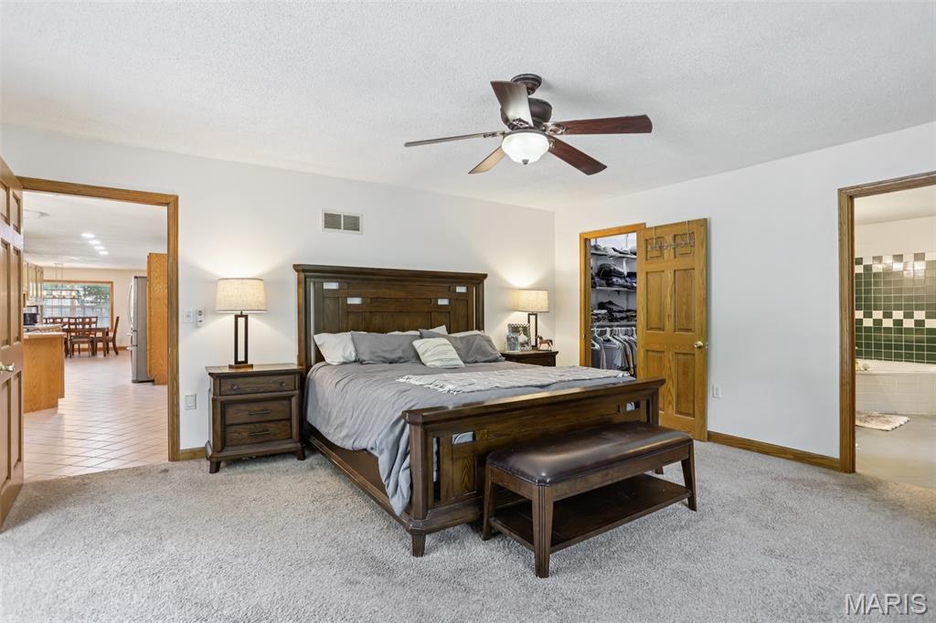 31470 East Bartlett Road Brighton, IL 62012 - Photo 22 of 52