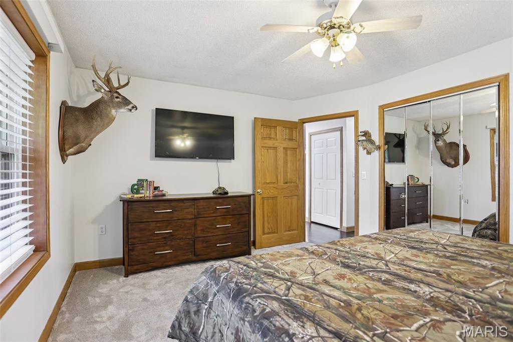 31470 East Bartlett Road Brighton, IL 62012 - Photo 26 of 52