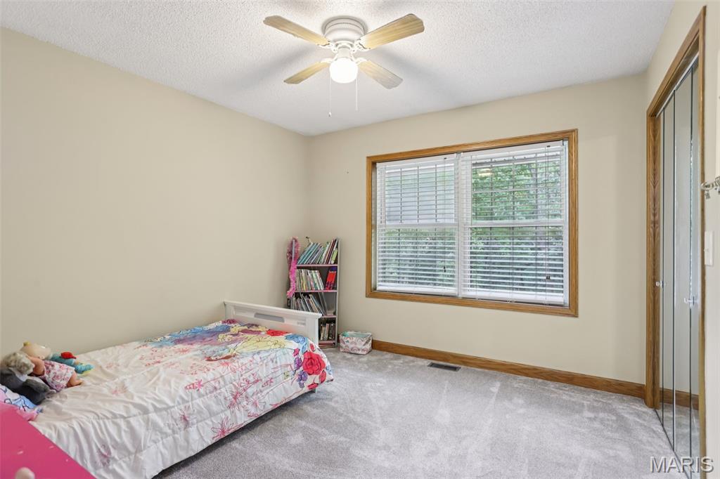 31470 East Bartlett Road Brighton, IL 62012 - Photo 29 of 52