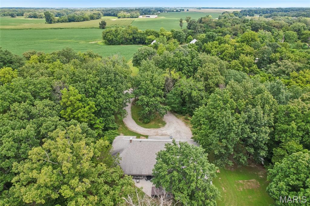 31470 East Bartlett Road Brighton, IL 62012 - Photo 47 of 52