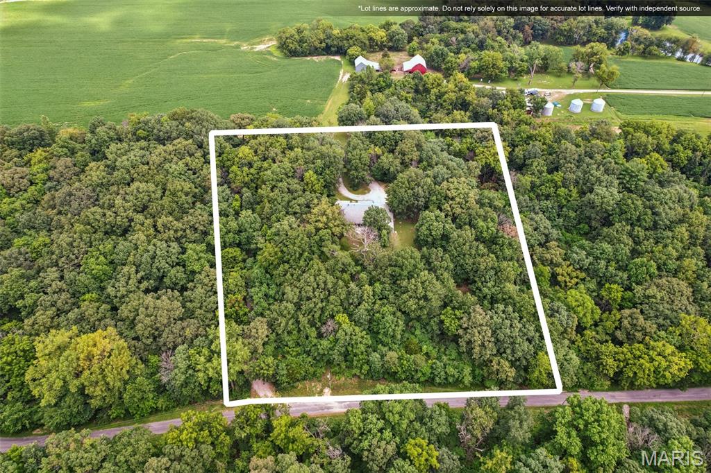 31470 East Bartlett Road Brighton, IL 62012 - Photo 48 of 52