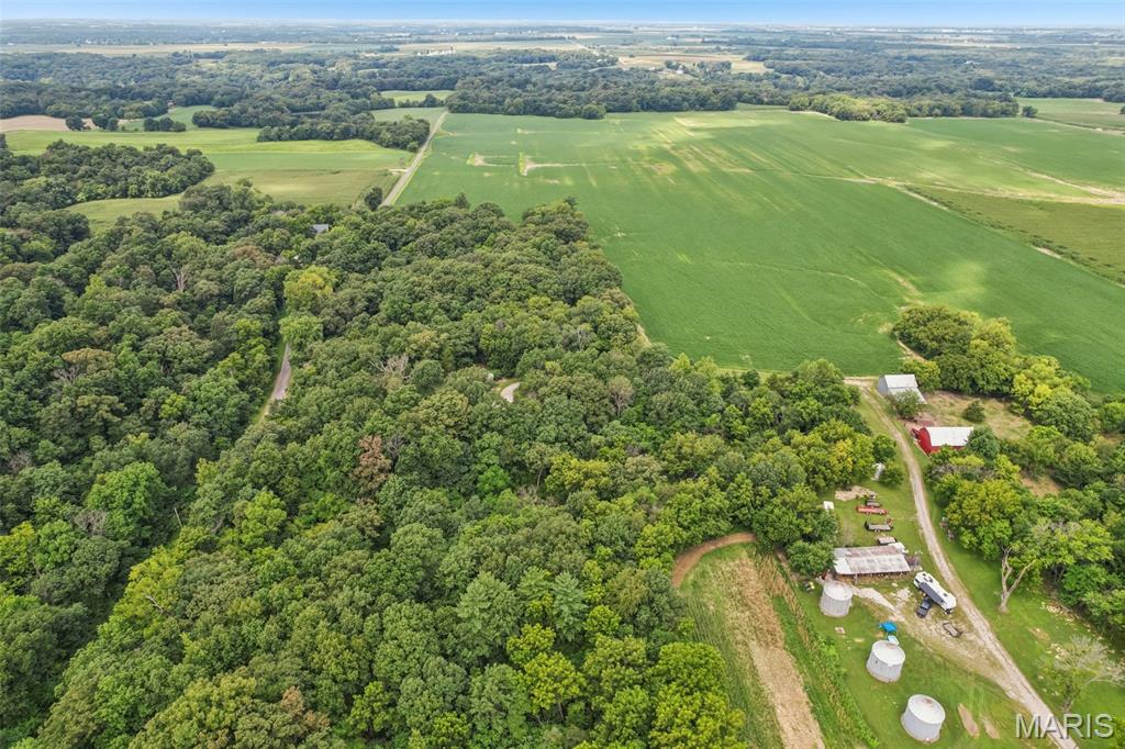 31470 East Bartlett Road Brighton, IL 62012 - Photo 49 of 52