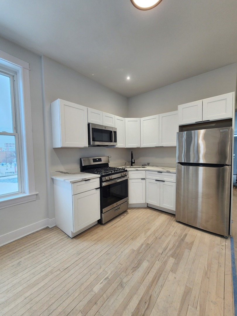 2345 West 23rd Street, Unit 1 Chicago, IL 60608 - Photo 2 of 12