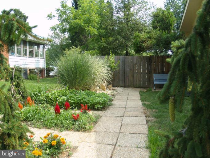 1908 Franwall Avenue Silver Spring, MD 20902 - Photo 13 of 29 Side Yard