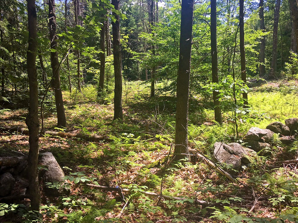 28 Colony Road Phillipston, MA 01331 - Photo 3 of 4