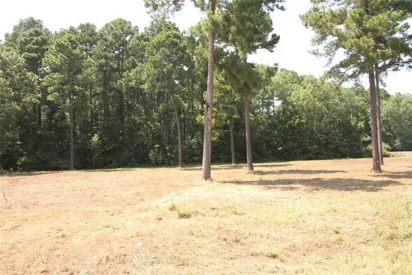 a view of empty space with trees