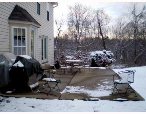 124 Bocktown Road Aliquippa, PA 15001 - Photo 16 of 18 Patio/Deck. Concrete patio leads right into large back yard.