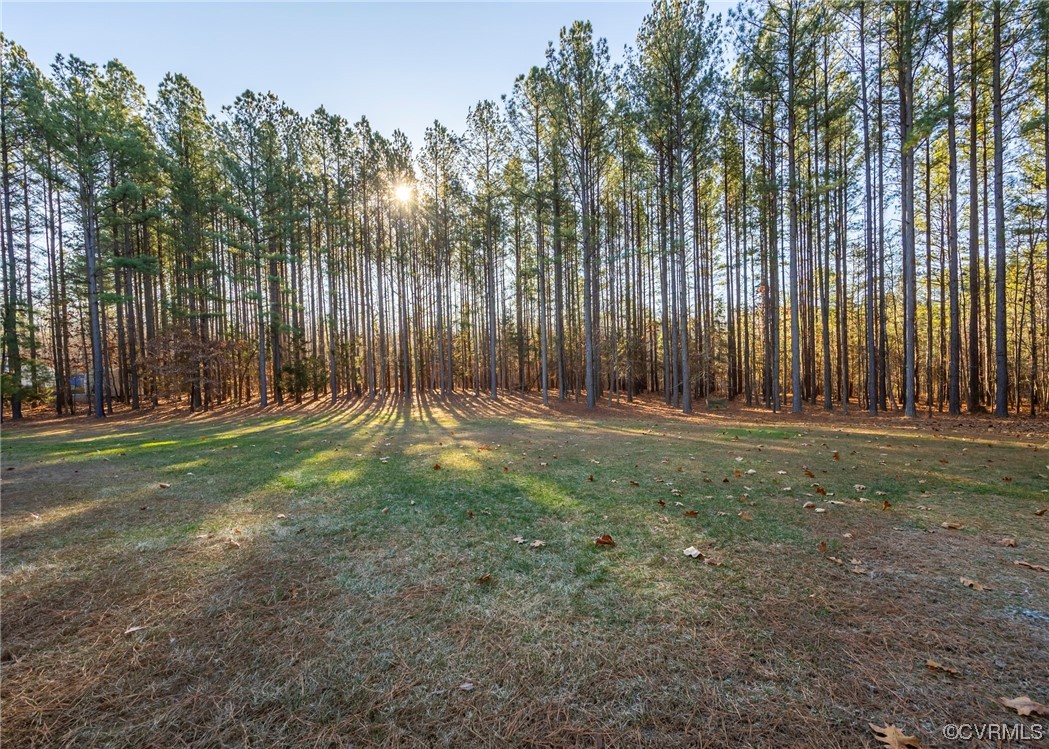 45 Carriage Hill Road Farmville, VA 23901 - Photo 8 of 44 Gallery Image 8