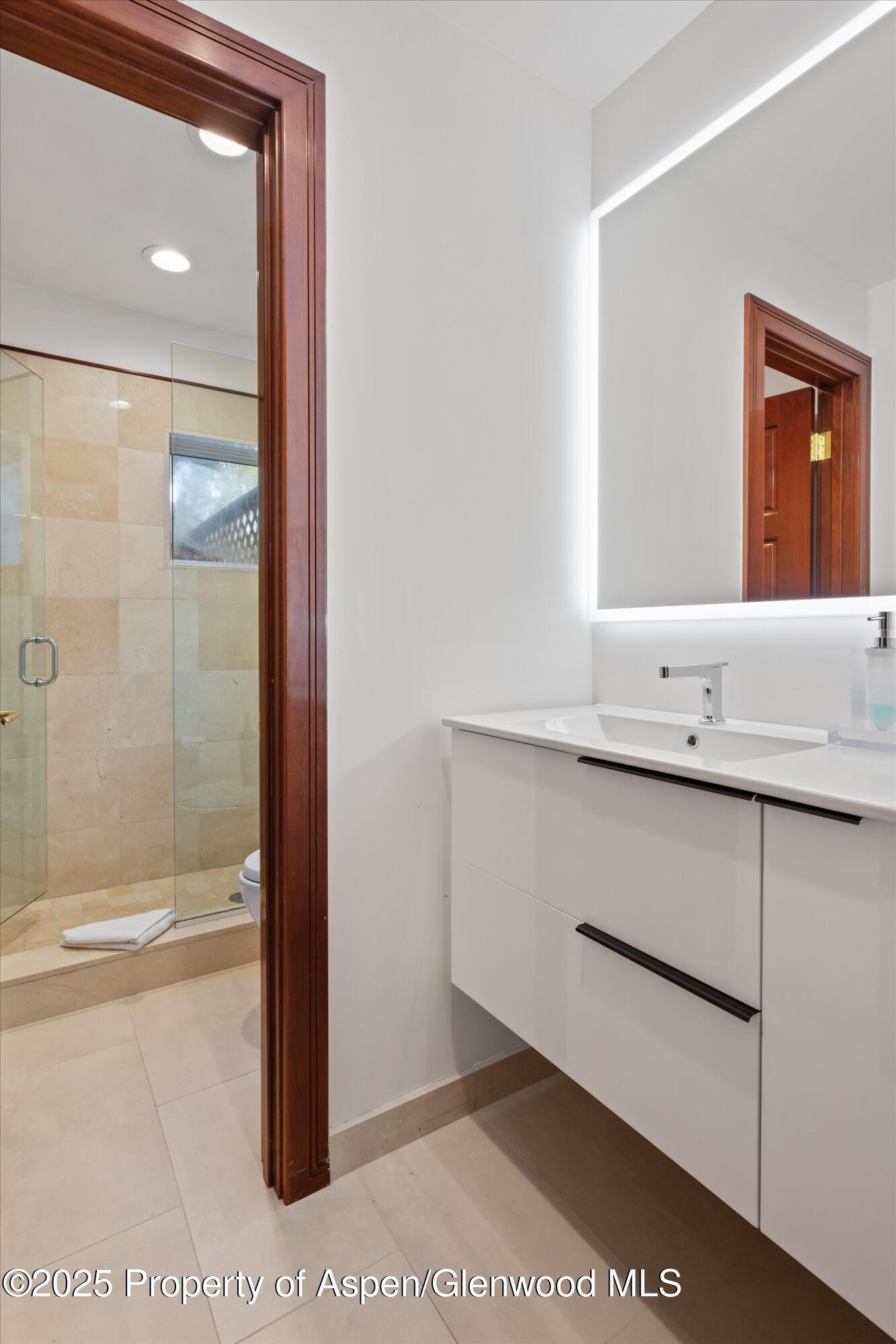 208 South Spring Street, Unit 1 Aspen, CO 81611 - Photo 18 of 29 a bathroom with a sink and a mirror