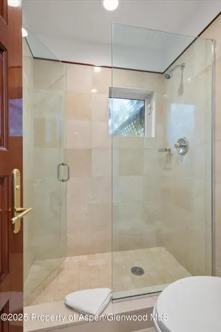 a bathroom with a shower and toilet