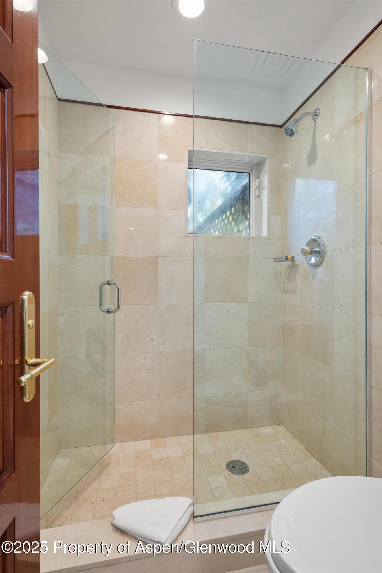 208 South Spring Street, Unit 1 Aspen, CO 81611 - Photo 19 of 29 a bathroom with a shower and toilet