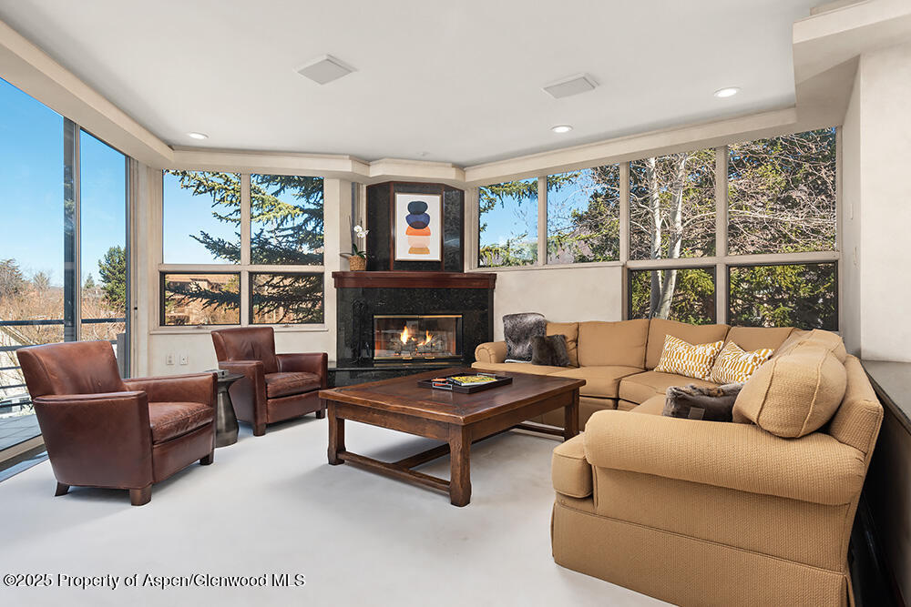 208 South Spring Street, Unit 1 Aspen, CO 81611 - Photo 9 of 29 a living room with furniture and a fireplace