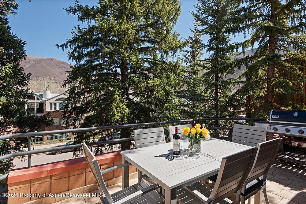 208 South Spring Street, Unit 1 Aspen, CO 81611 - Photo 10 of 29 a outdoor view with a sitting space