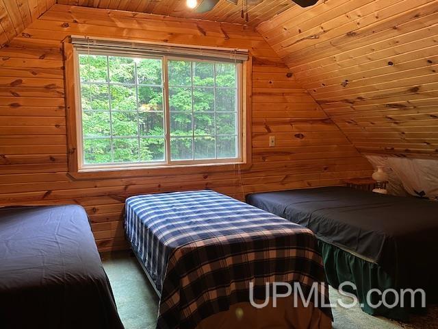 325 Mastodon Road Crystal Falls, MI 49920 - Photo 16 of 39