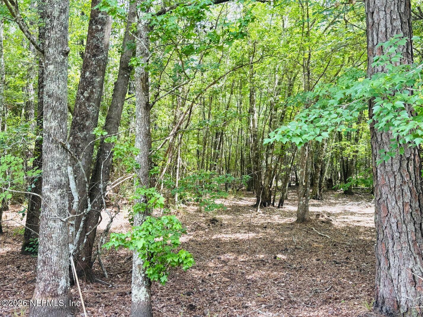 0 Lake Hampton Road Hilliard, FL 32046 - Photo 22 of 23 a view of outdoor space and trees