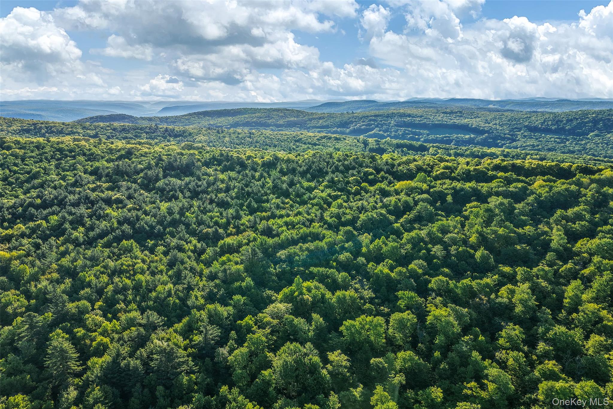 Frank Slawson Road Oneonta, NY 13820 - Photo 3 of 30 Gallery Image 3