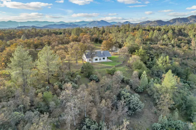 a view of a house with a yard and a large tree