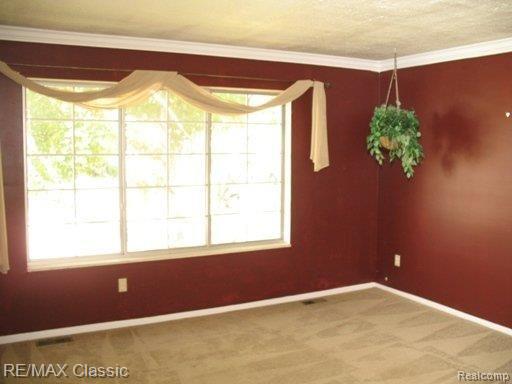 43435 Applewood Road Canton, MI 48188 - Photo 6 of 12 LIVING ROOM