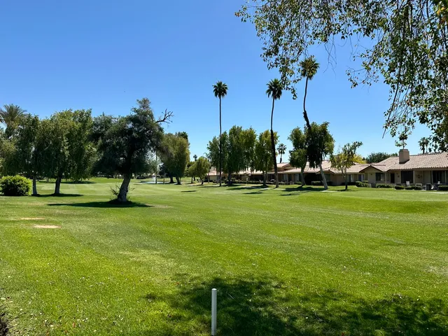 a view of a park with large trees