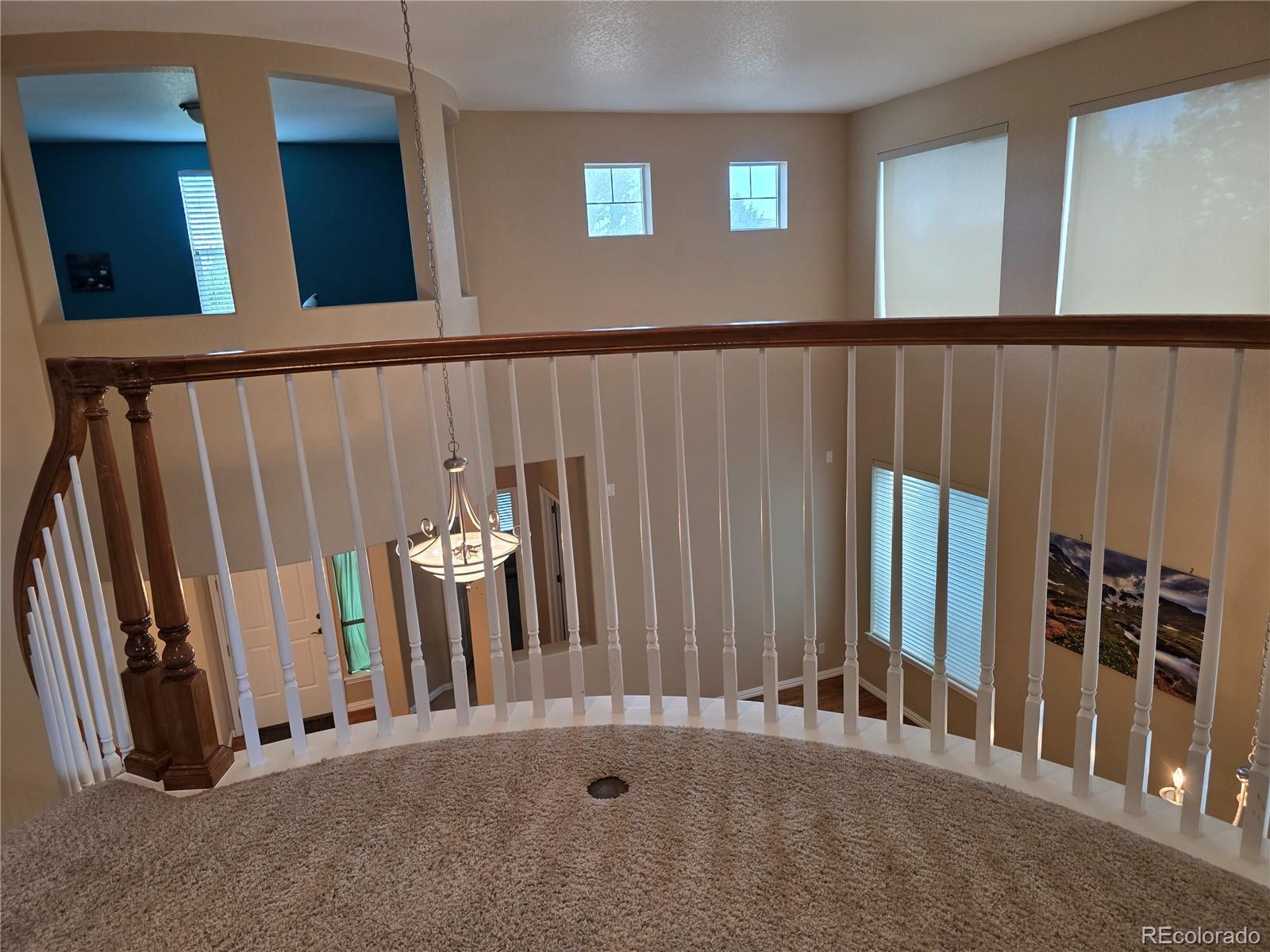 3430 Chandon Way Highlands Ranch, CO 80126 - Photo 17 of 42 Gallery Image 17