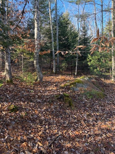 6-l 32 Main Street Wayne, ME 04284 - Photo 2 of 10 IMG_9729