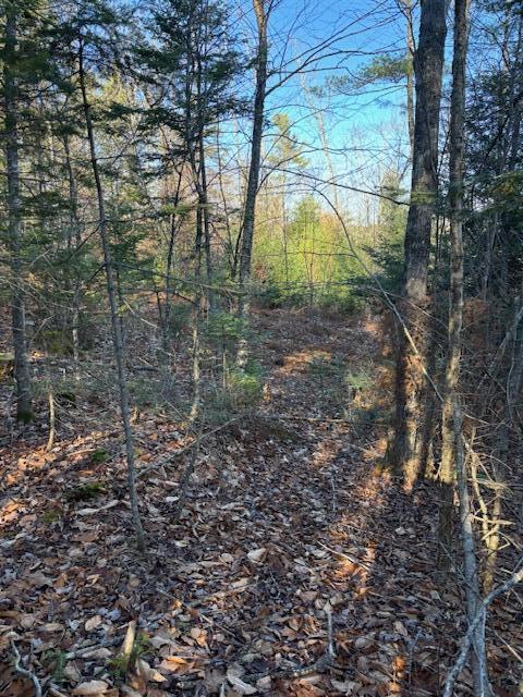 6-l 32 Main Street Wayne, ME 04284 - Photo 4 of 10 IMG_9730