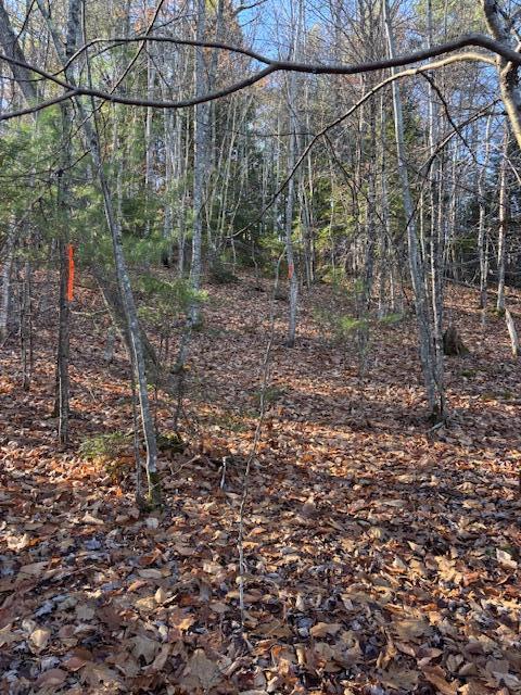 6-l 32 Main Street Wayne, ME 04284 - Photo 5 of 10 IMG_9731