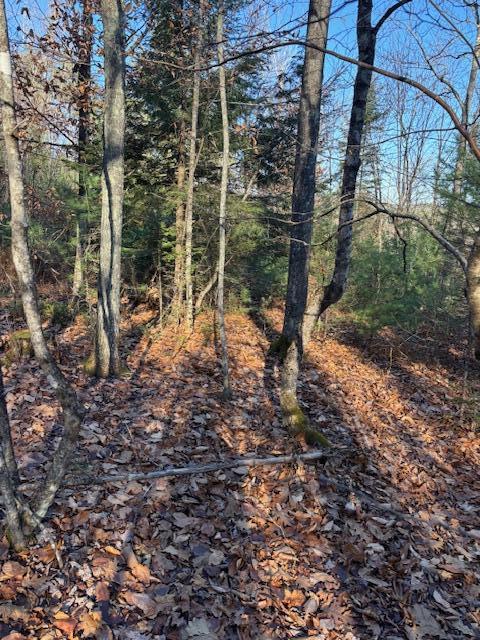 6-l 32 Main Street Wayne, ME 04284 - Photo 6 of 10 IMG_9733