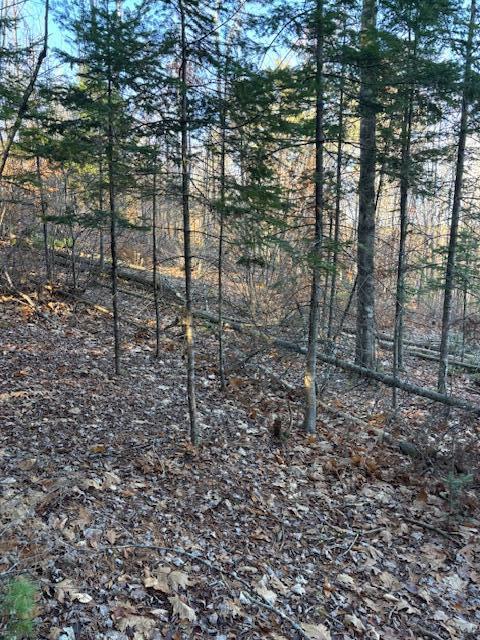 6-l 32 Main Street Wayne, ME 04284 - Photo 7 of 10 IMG_9736