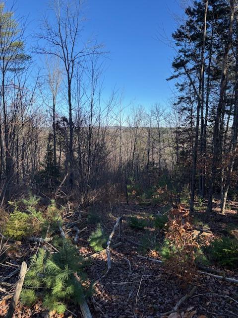 6-l 32 Main Street Wayne, ME 04284 - Photo 9 of 10 IMG_9740