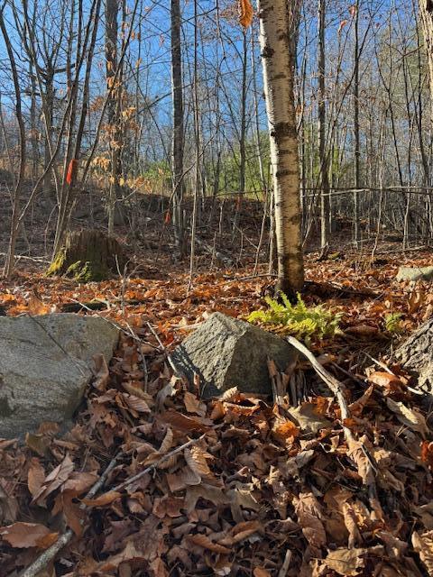 6-l 32 Main Street Wayne, ME 04284 - Photo 10 of 10 IMG_9742