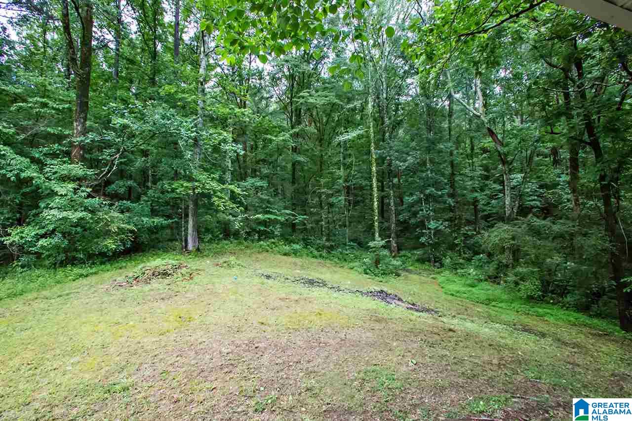 8175 Dunnavant Road Leeds, AL 35094 - Photo 32 of 33