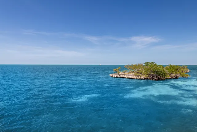 a view of a large yard