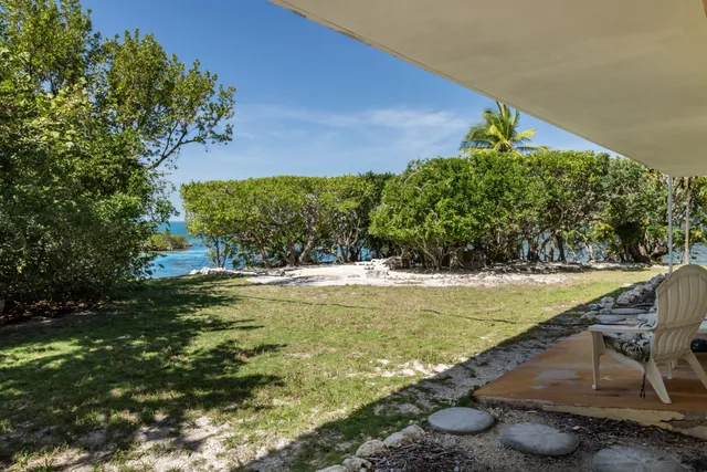 a view of a garden with potted plants and large tree