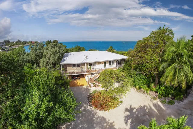 a view of a house with a yard and potted plants