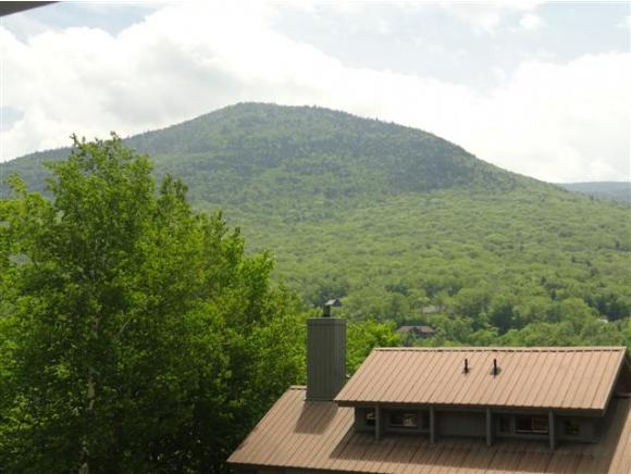 15 Birch Road, Unit 152 Lincoln, NH 03251 - Photo 10 of 24