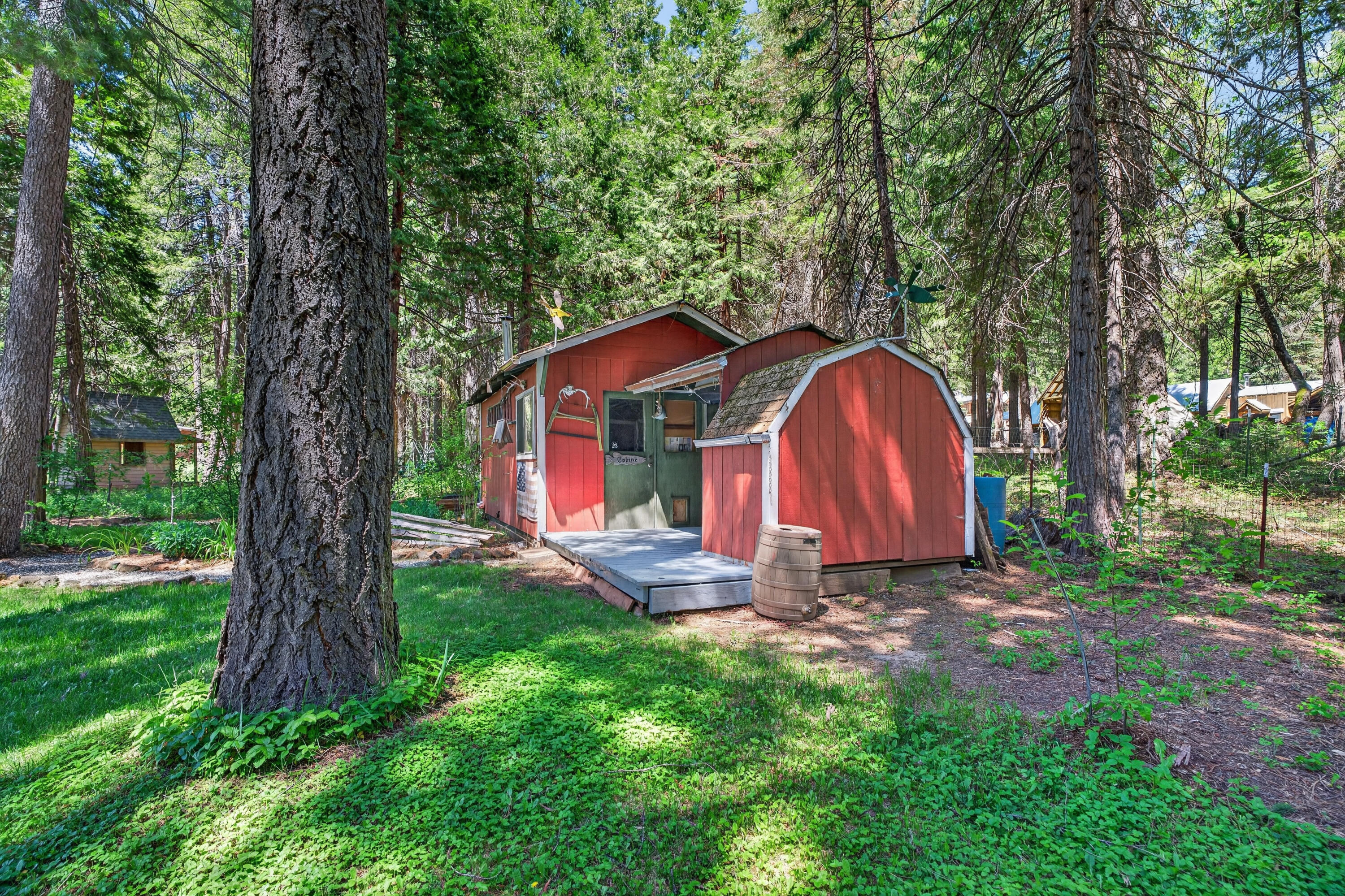 8015 Starlite Pines Road Shingletown, CA 96088 - Photo 34 of 38 a view of a backyard with a large tree and a large tree