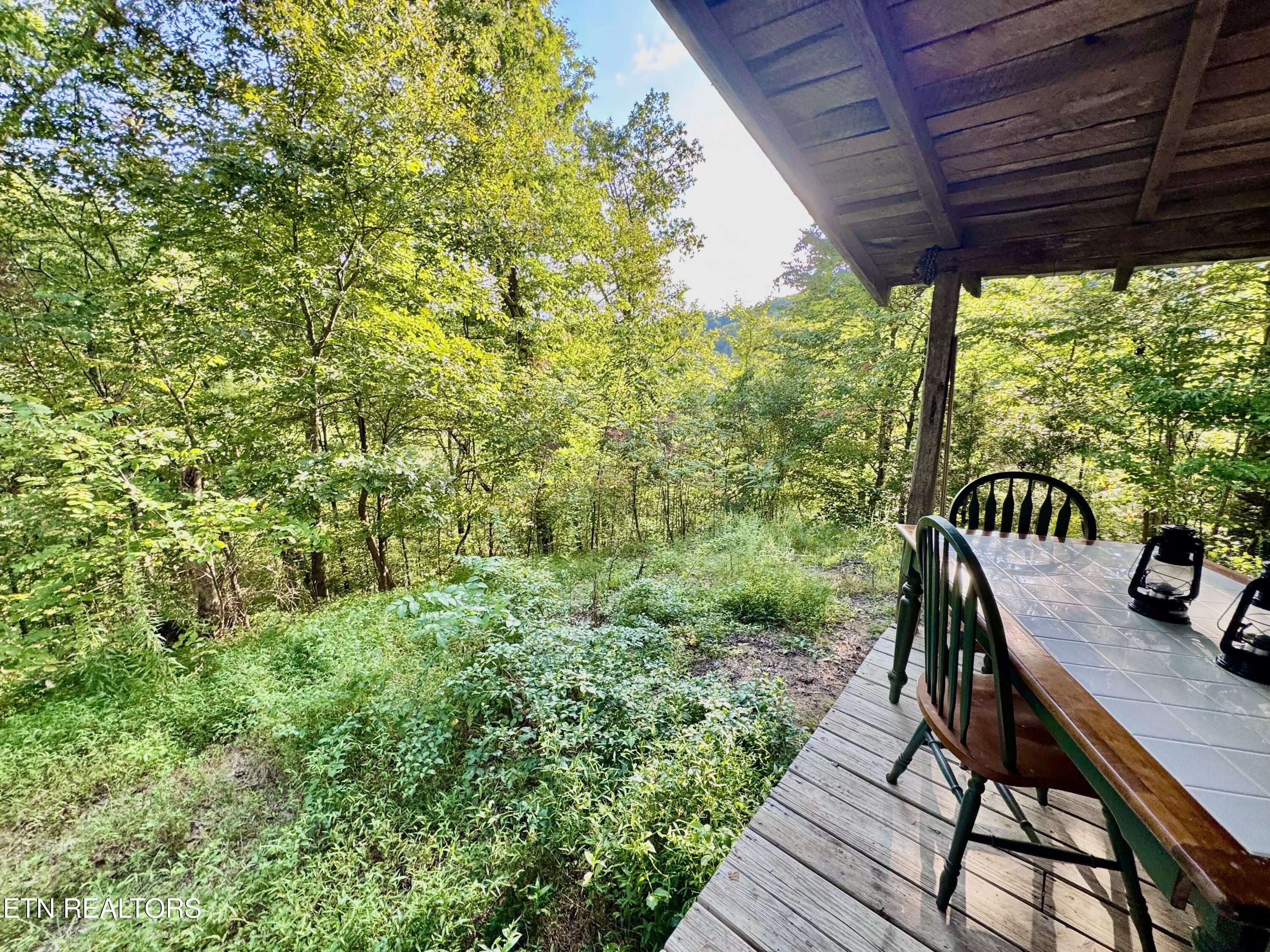 2977 Arch Road Cosby, TN 37722 - Photo 20 of 22 IMG_0027