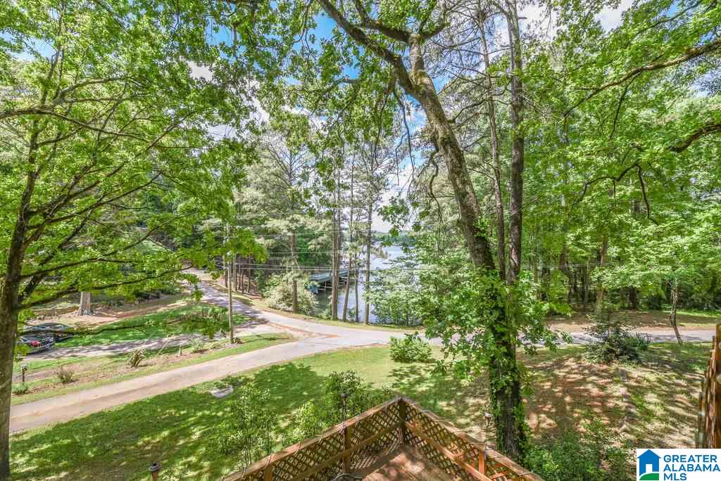 15 Clearwater Point Road Cropwell, AL 35054 - Photo 32 of 32