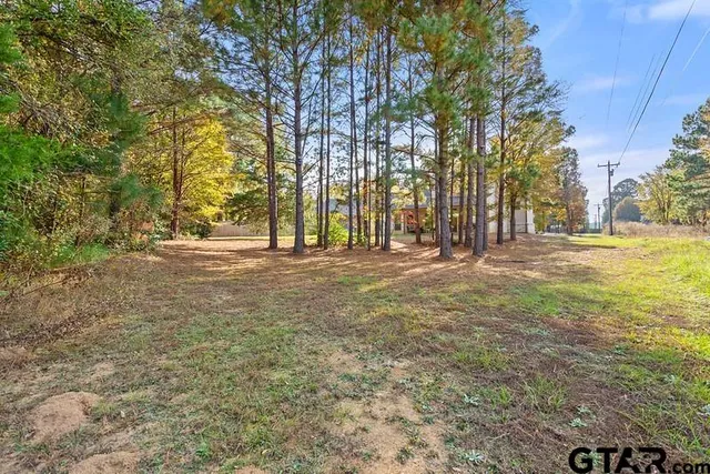 a view of outdoor space with trees all around