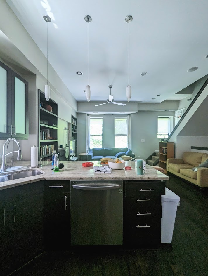 729 South Loomis Street Chicago, IL 60607 - Photo 11 of 34 Gallery Image 11